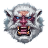 9k yeti 1