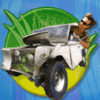 ace ventura pet detective greencar symbol