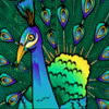 adventure palace peacock symbol