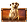 african elephant meerkat symbol