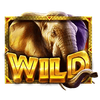 african elephant wild symbol