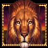 african quest lion symbol