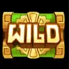 amazon kingdom wild symbol