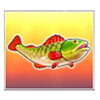 big bass splash fish 3 symbol