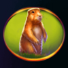 bison valley groundhog symbol