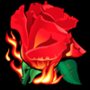 burning desire rose symbol