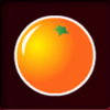 classic fruit orange symbol