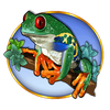 congo cash frog symbol