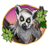 congo cash lemur symbol