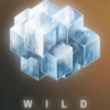 crystal rift wild symbol