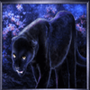 dangerous beauty panther symbol