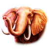 diamond king gold elephant symbol