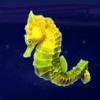 dolphin gold seahorse symbol