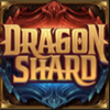 dragon shard wild symbol