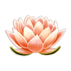 dragons luck lotus symbol