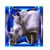 elephant king rhino symbol