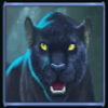 enchanted forest black panther symbol