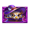 excalibur unleashed wizard owl symbol