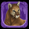 exotic cats wild 6 symbol