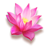 fortune dragons lotus symbol