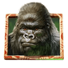 gorilla kingdom 1