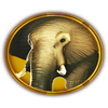 hot safari elephant symbol