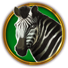 hot safari zebra symbol