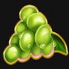 juicy joker mega moolah grapes symbol