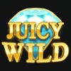 juicy joker mega moolah wild symbol 3