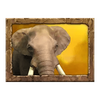 jungle spirit call of the wild powerpoints elephant symbol