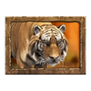 jungle spirit call of the wild powerpoints tiger symbol