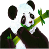 lucky panda panda symbol