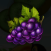 lucky tropics powerpoints grapes symbol