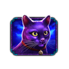 madame destiny cat symbol