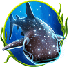 ocean magic shark symbol