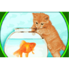 omg kittens cat and fish symbol