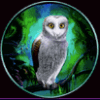 panther moon owl symbol