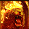 phoenix inferno fire lion symbol