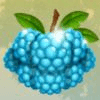 rainbow wilds blue berry symbol