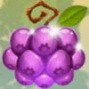 rainbow wilds purple berry symbol