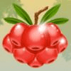 rainbow wilds red berry symbol