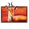 safari king antelope symbol