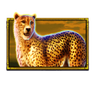 safari king cheetah symbol