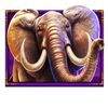 safari king elephant symbol