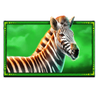 safari king zebra symbol