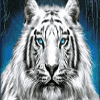 siberian storm tiger2 symbol