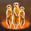 silver lion meerkat symbol