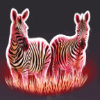 silver lion zebra symbol