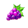 starlite fruits grapes symbol