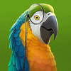 tales of dr dolittle parrot symbol